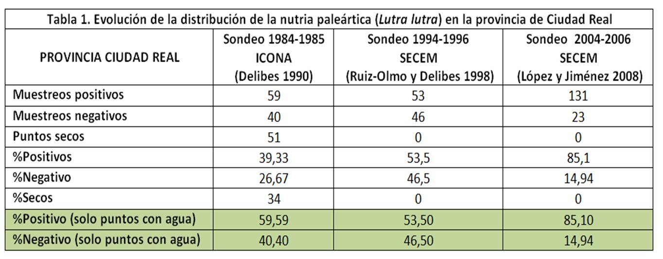 Nutrias en Ciudad Real — imagen 5
